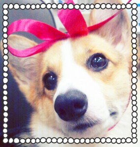 2013-11-11-17-47-58_deco